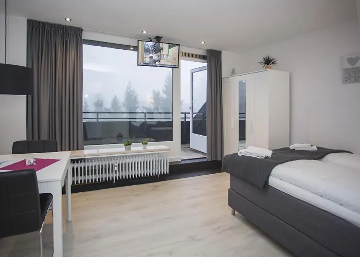 Apartamento Brink Am Waltenberg 57-59 Winterberg